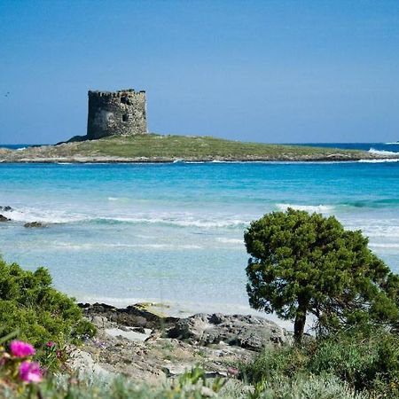 Vacanze Sardegna Lägenhet Santa Teresa Gallura Exteriör bild