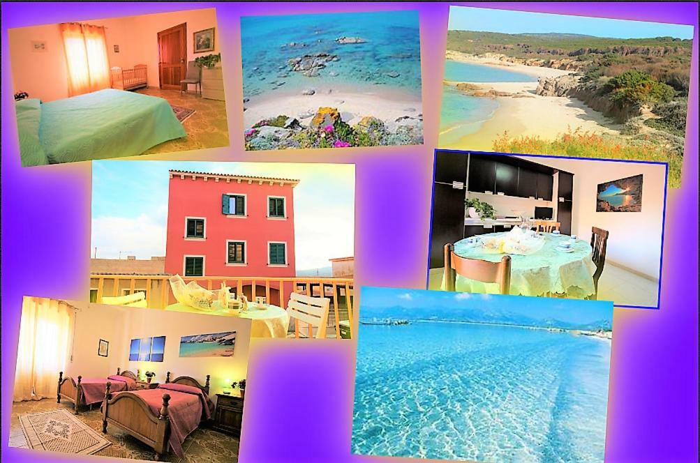 Vacanze Sardegna Lägenhet Santa Teresa Gallura Exteriör bild