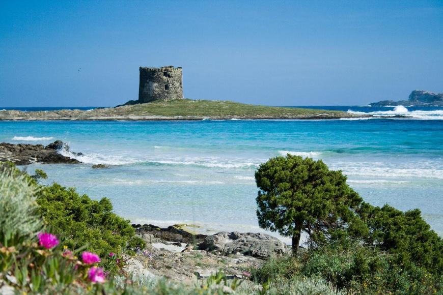 Vacanze Sardegna Lägenhet Santa Teresa Gallura Exteriör bild
